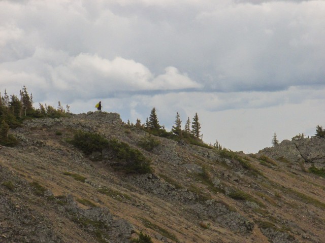 Bull Creek Hills summit