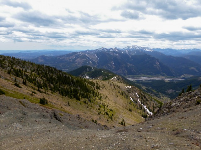 Bull Creek Hills view