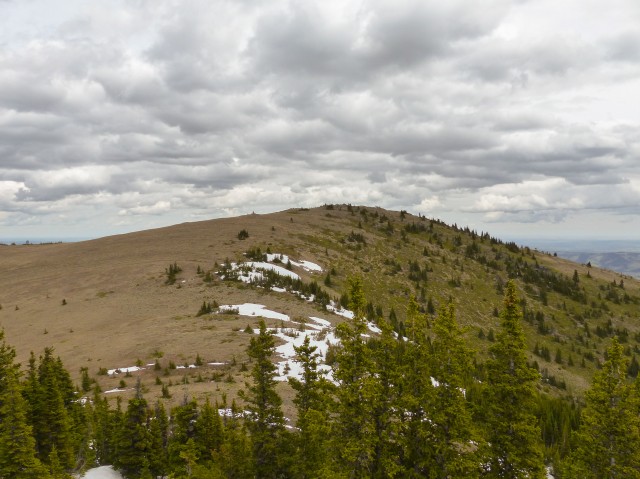 Bull Creek Hills high point