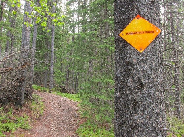 Powderface Ridge trail