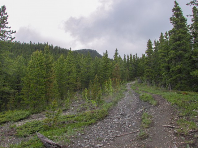 Powerface Ridge hiking trail