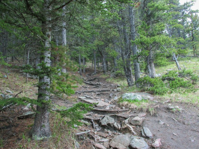Trail up Powderface Ridge