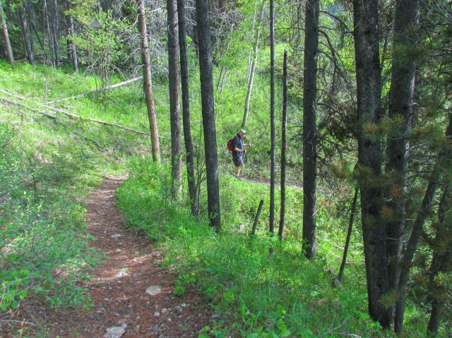 Cat Creek Hills hiking trail