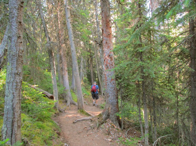 Hiking trail Burstall Pass