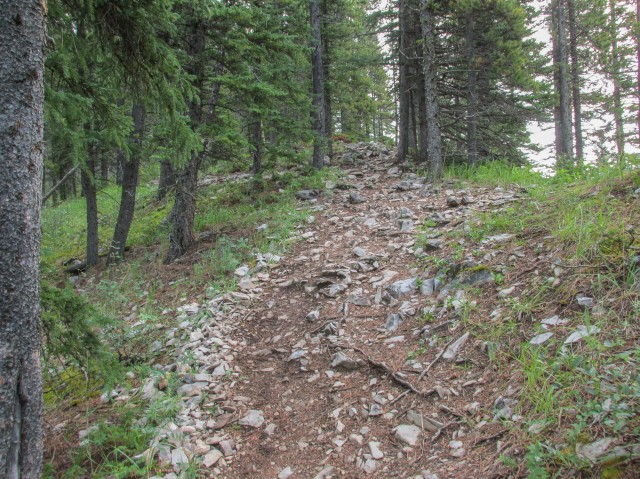 Prairie Mountain hiking trail
