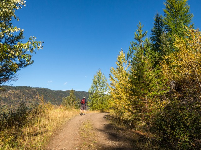 Sparwood BC overlook trail
