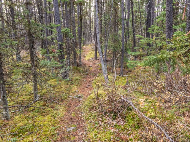 Trail South End of Lawson