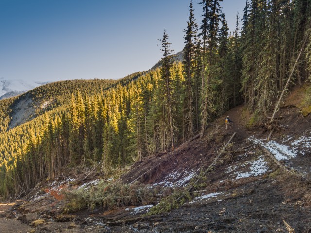Powderface Ridge trail slump