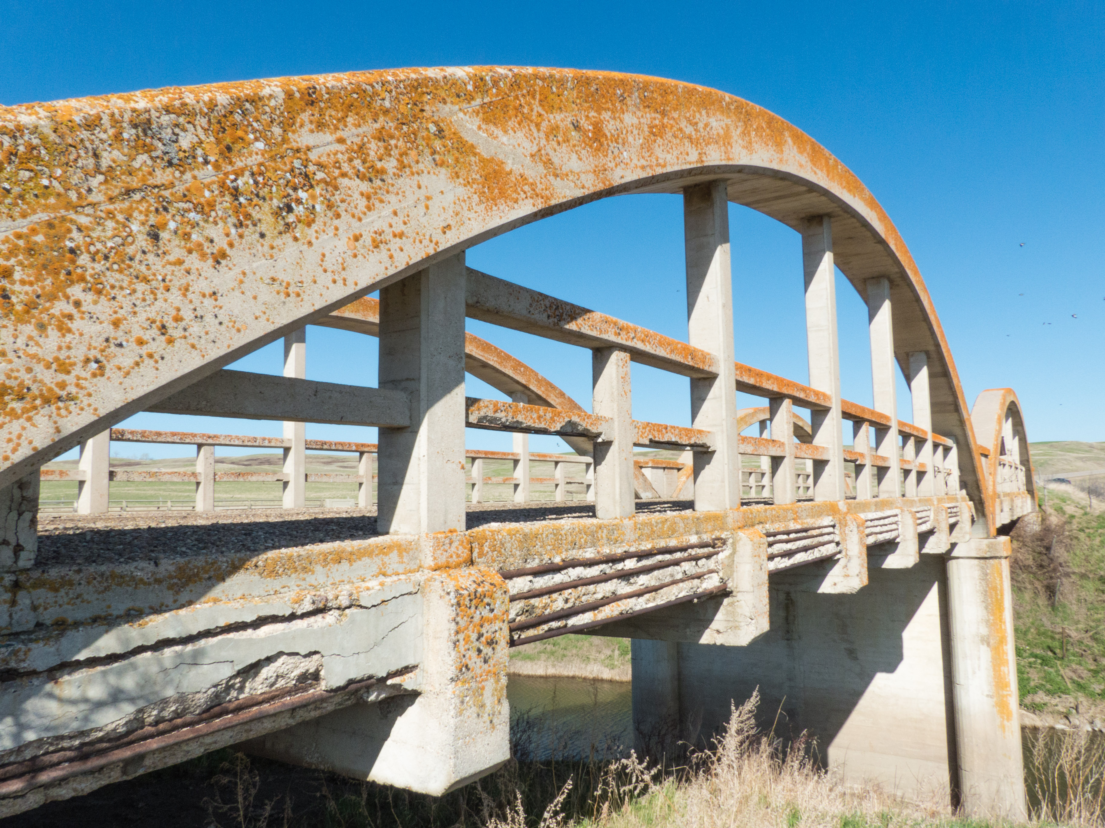 Saskatchewan arch bridge