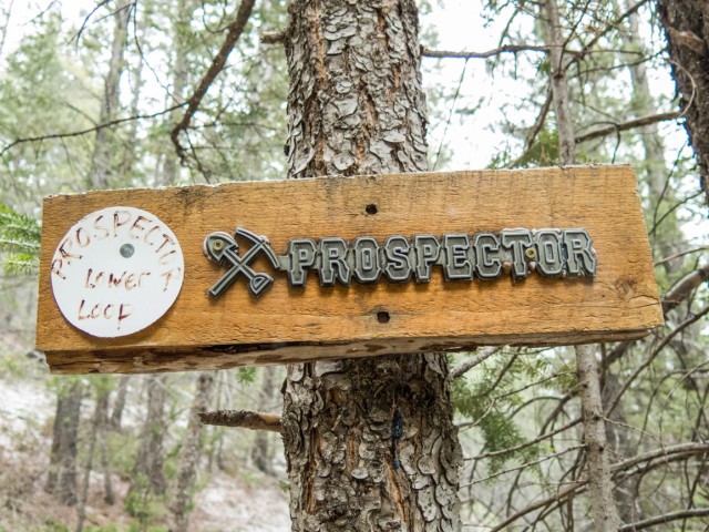 Exshaw Prospector Trail