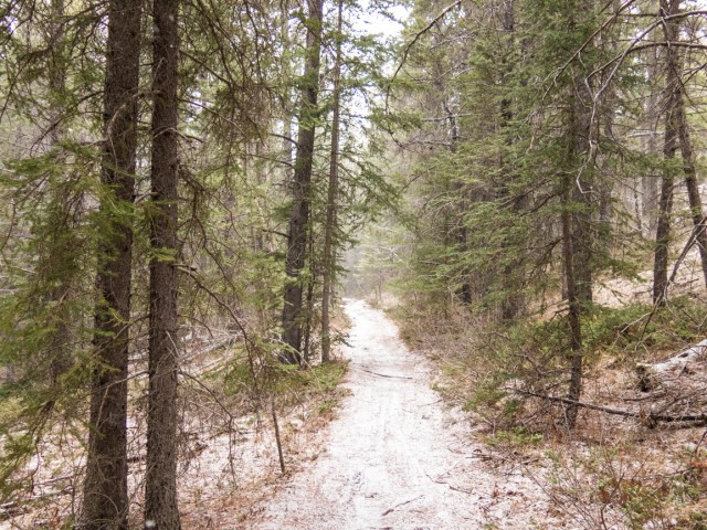 Exshaw AB Prospector Trail