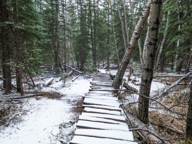 Prospector Trail ramp
