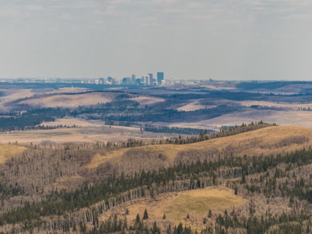 Calgary from a distance