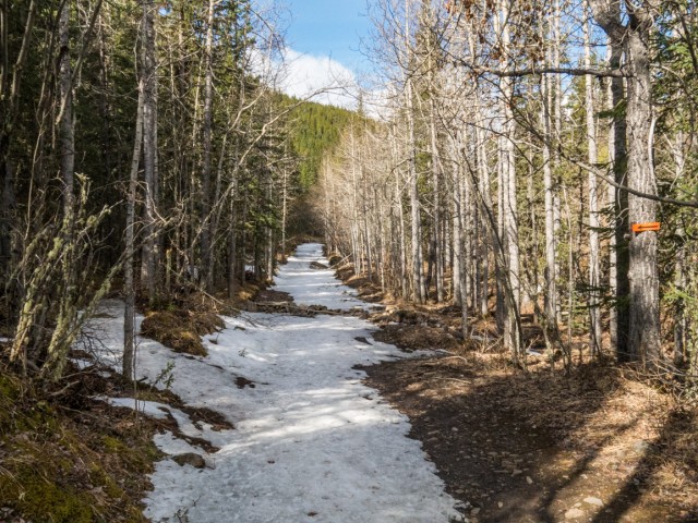 Powderface Creek Trail