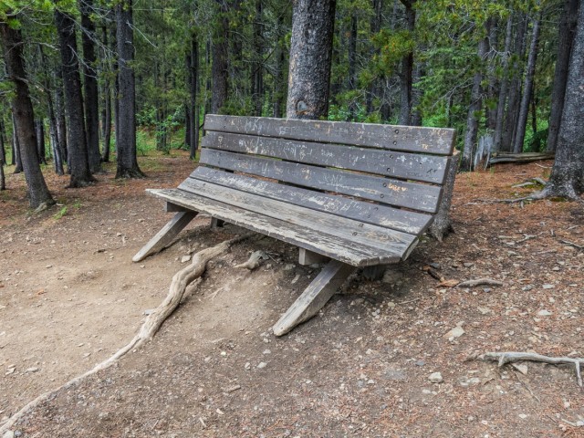 Kananasikis bench