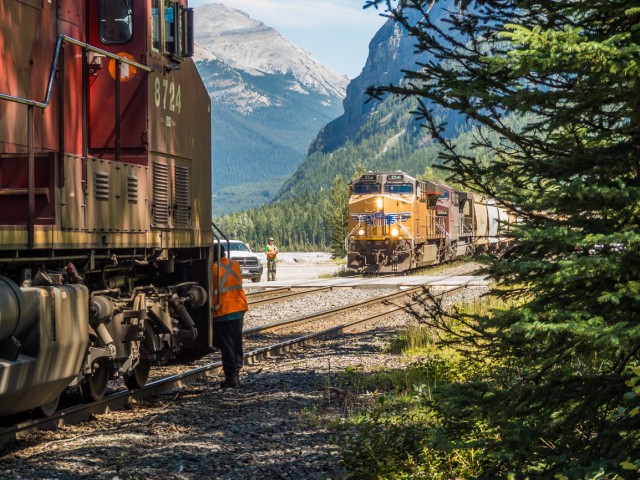 Field British Columbia trains
