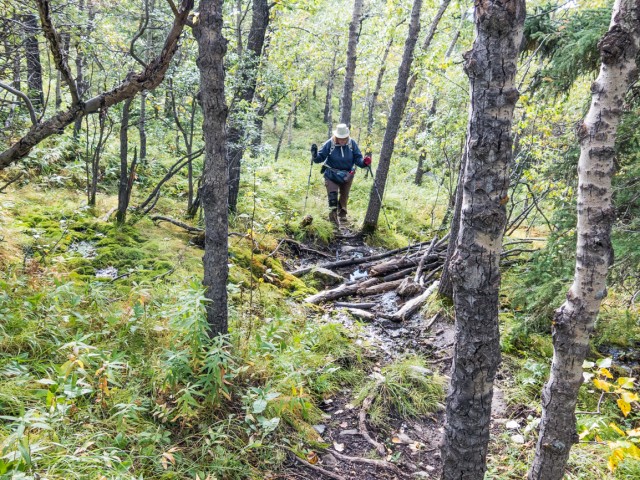 Gunnery Creek hiking trail