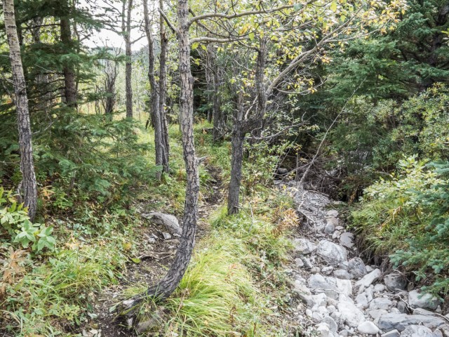 Gunnery Creek
