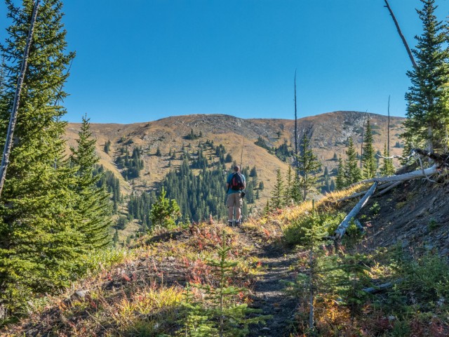 South Mist Hills trail