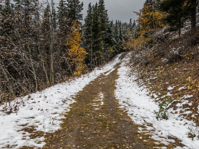 Skogan Pass trail