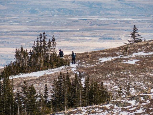 Hikers on Cox Hill 
