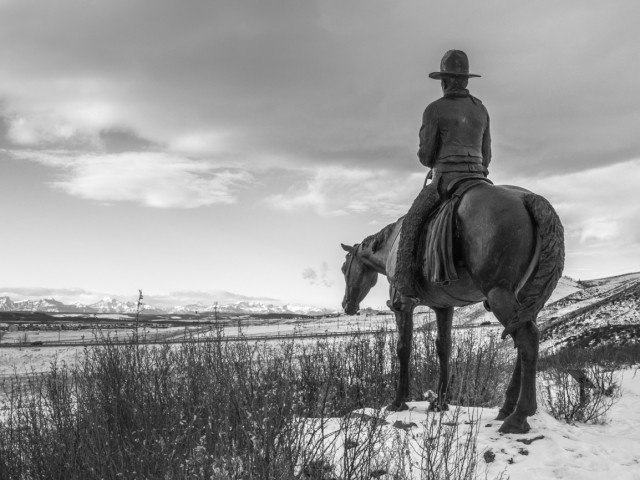 Cochrane Ranch Cowboy