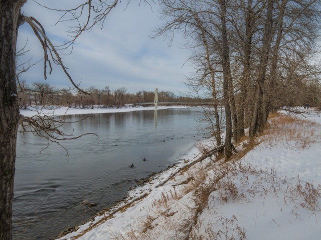 Bow River in winter