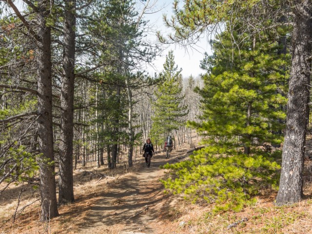 Foran Grade hiking trail