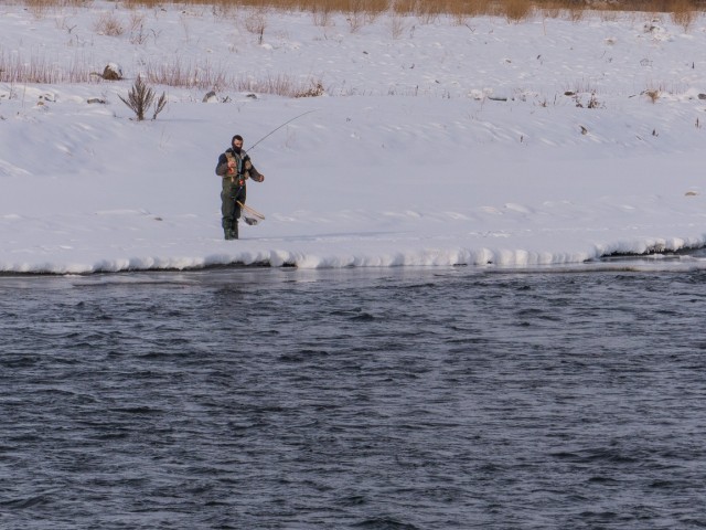 Bow River Angler