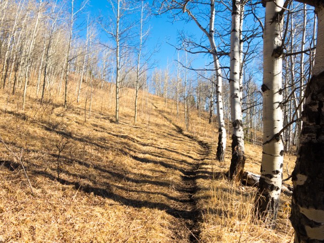 Carry Ridge Trail