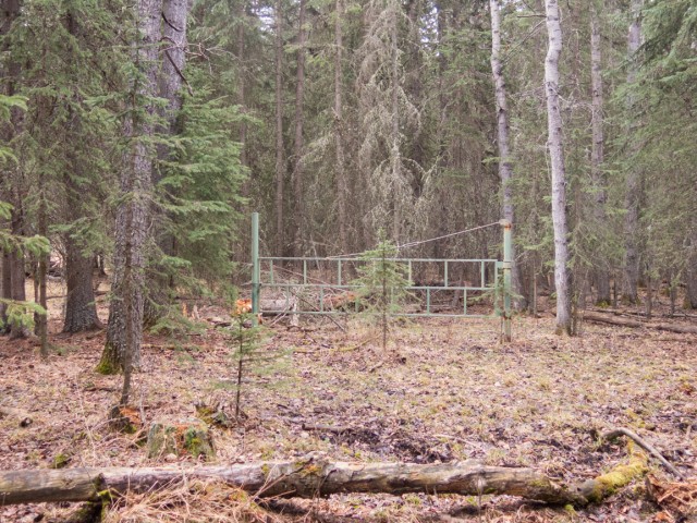 Old road gate