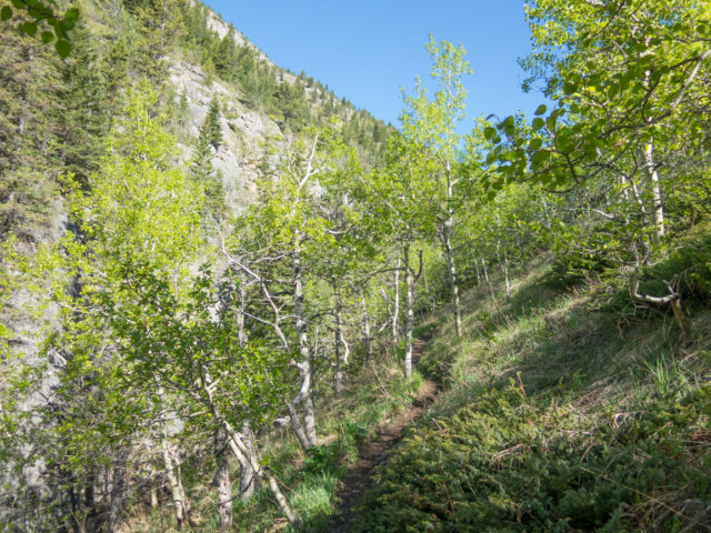 Gunnery Mountain Trail