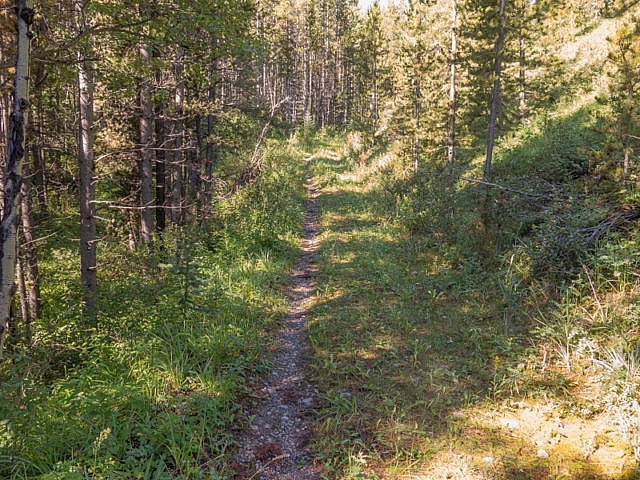 Baril Creek Trail