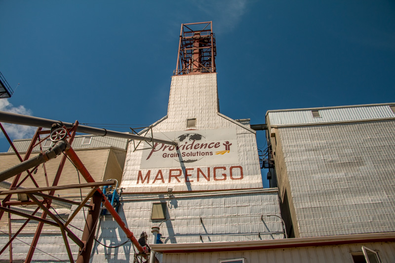 Providence Grain Marengo SK