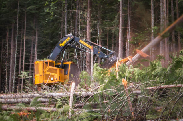 Atco Wood Products Harvesting