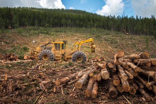 Atco Wood Products Logging