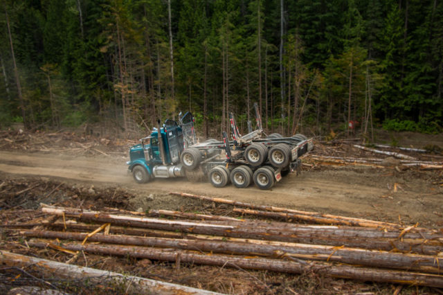 Atco Logging Truck