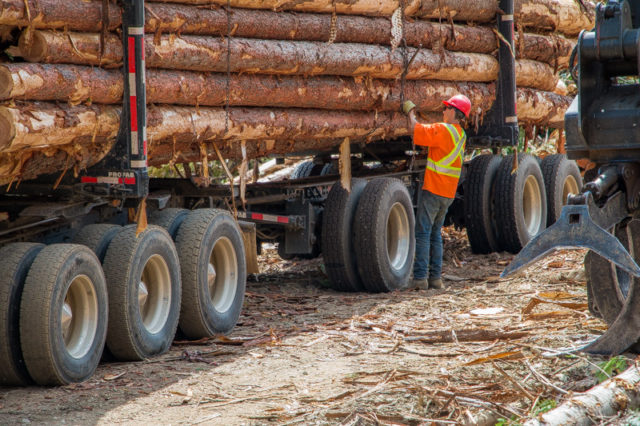 Logging Truck Atco Wood Products