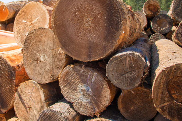 Atco Mill Fruitvale BC