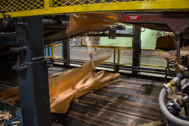 Atco Fuitvale Veneer