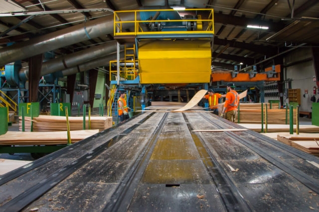 Atco Mill Veneer Sort