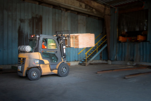 Bundle of Veneer Atco