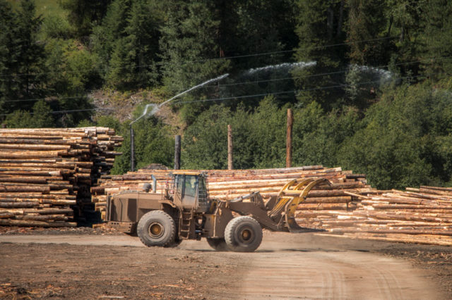 Log Sorting Atco Mill
