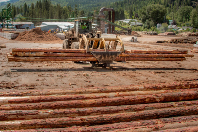 Logs Atco Mill Fruitvale