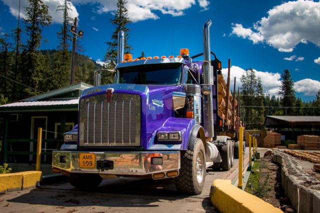 Logging Truck Atco