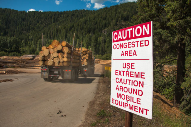 Atco Fruitvale Logging Truck