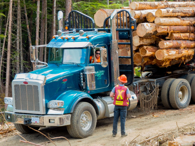 Atco Fruitvale Logging Truck