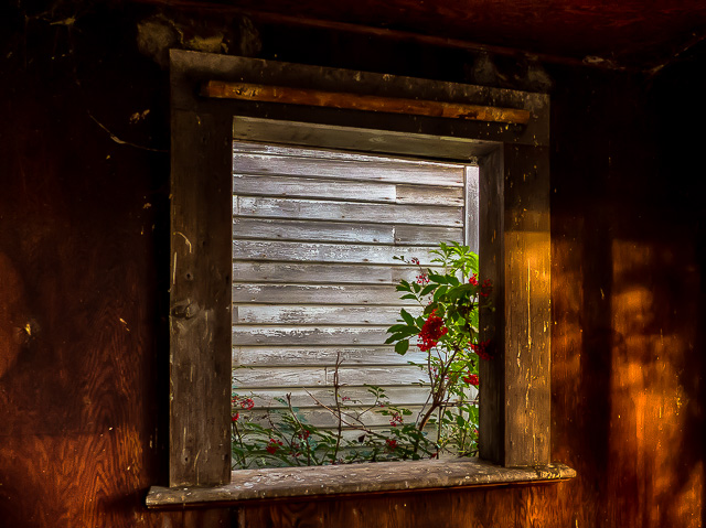 Farm window