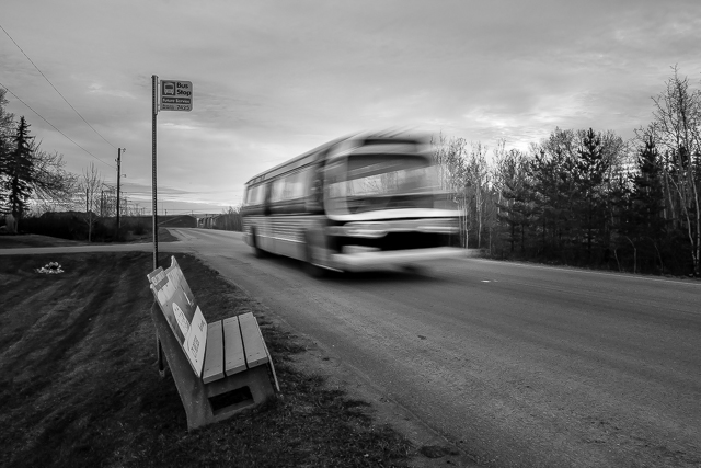 Edmonton Transit Bus Stop