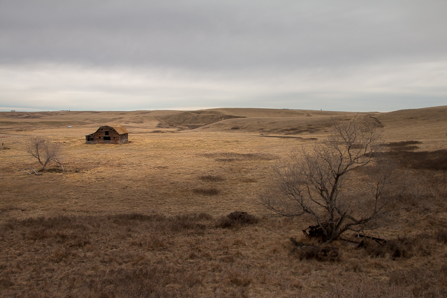 Abandoned Homestead Alberta